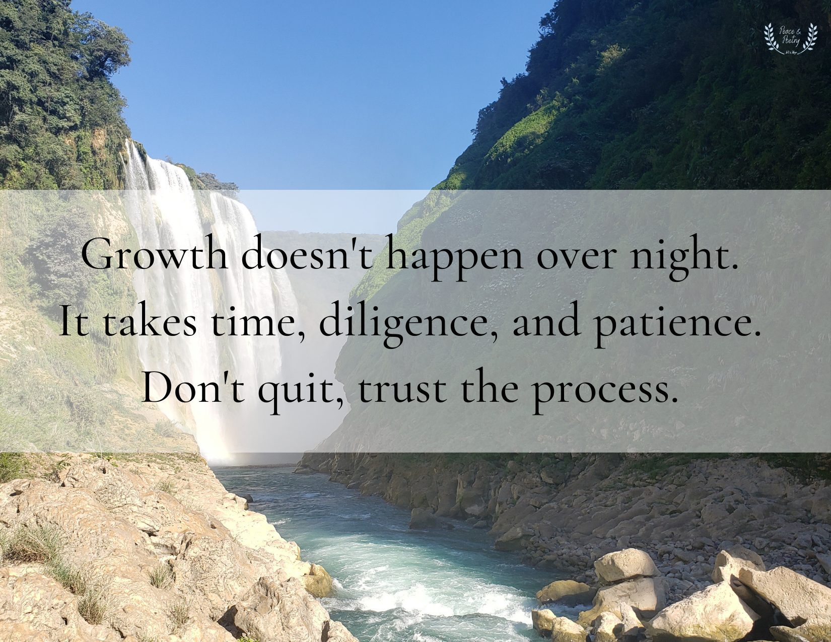 Trusting the Process