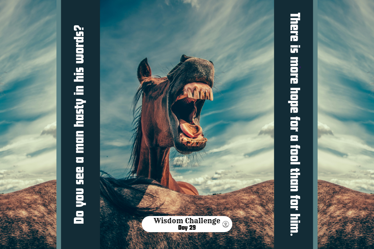 a fool's laughter
